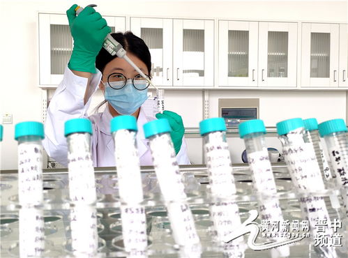 创新突破！全省首家动物疫病诊断试剂顺利通过GMP认证，生物医药研发再上新台阶