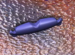 海华工程塑料厂生物产品研发的创新路径与战略展望